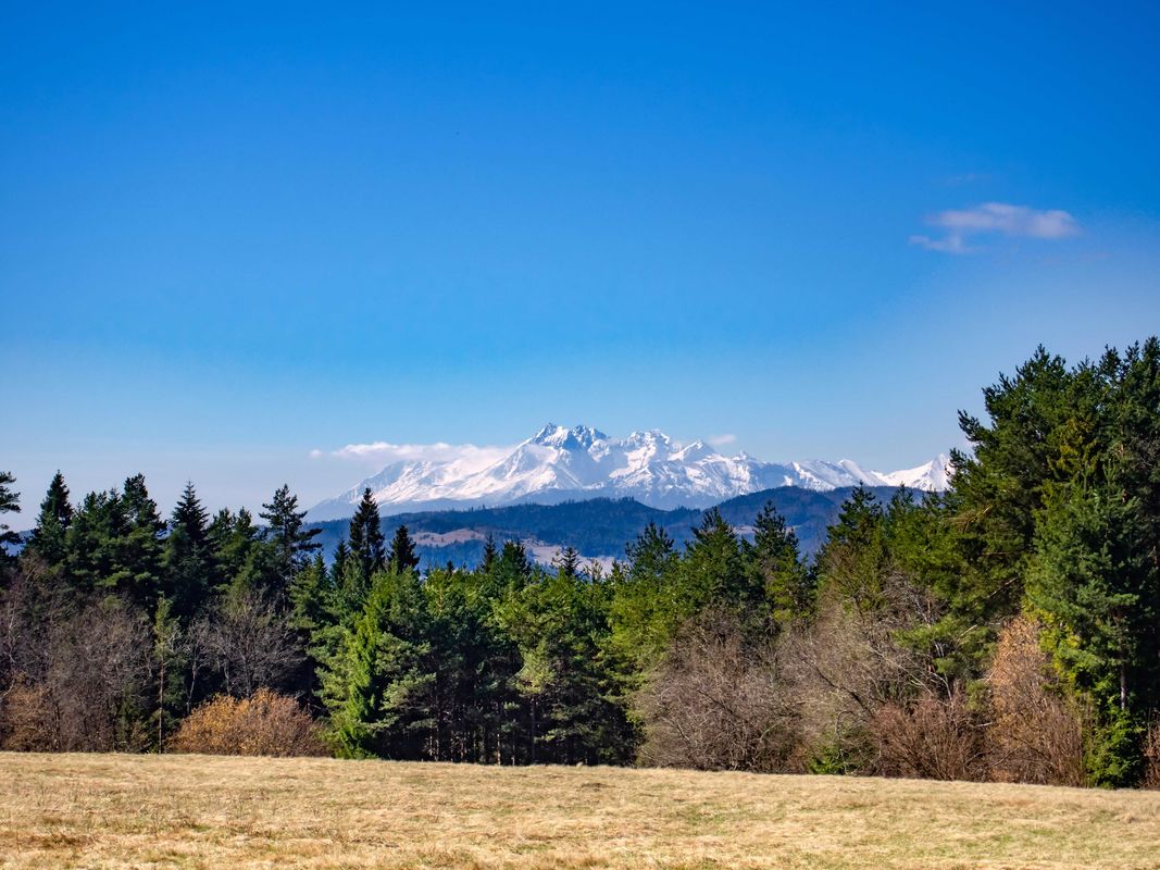Main Pilgrimage to Zvir Mountain - Slovakia.travel